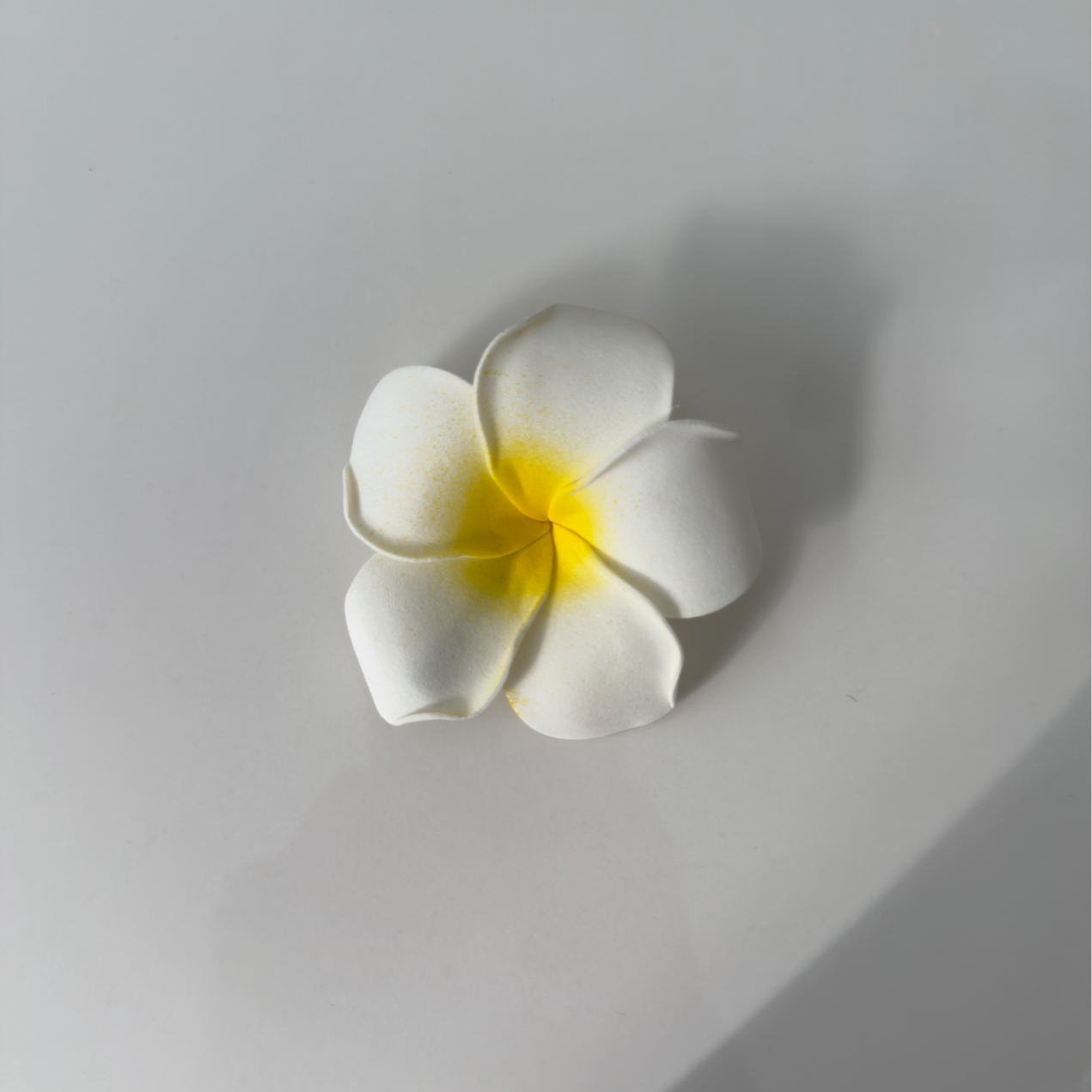 Island girl hair clip