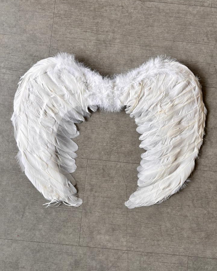 KARY WHITE WINGS