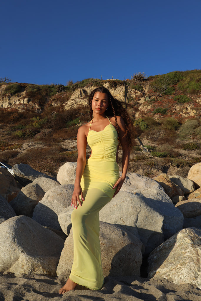 CANNES DRESS