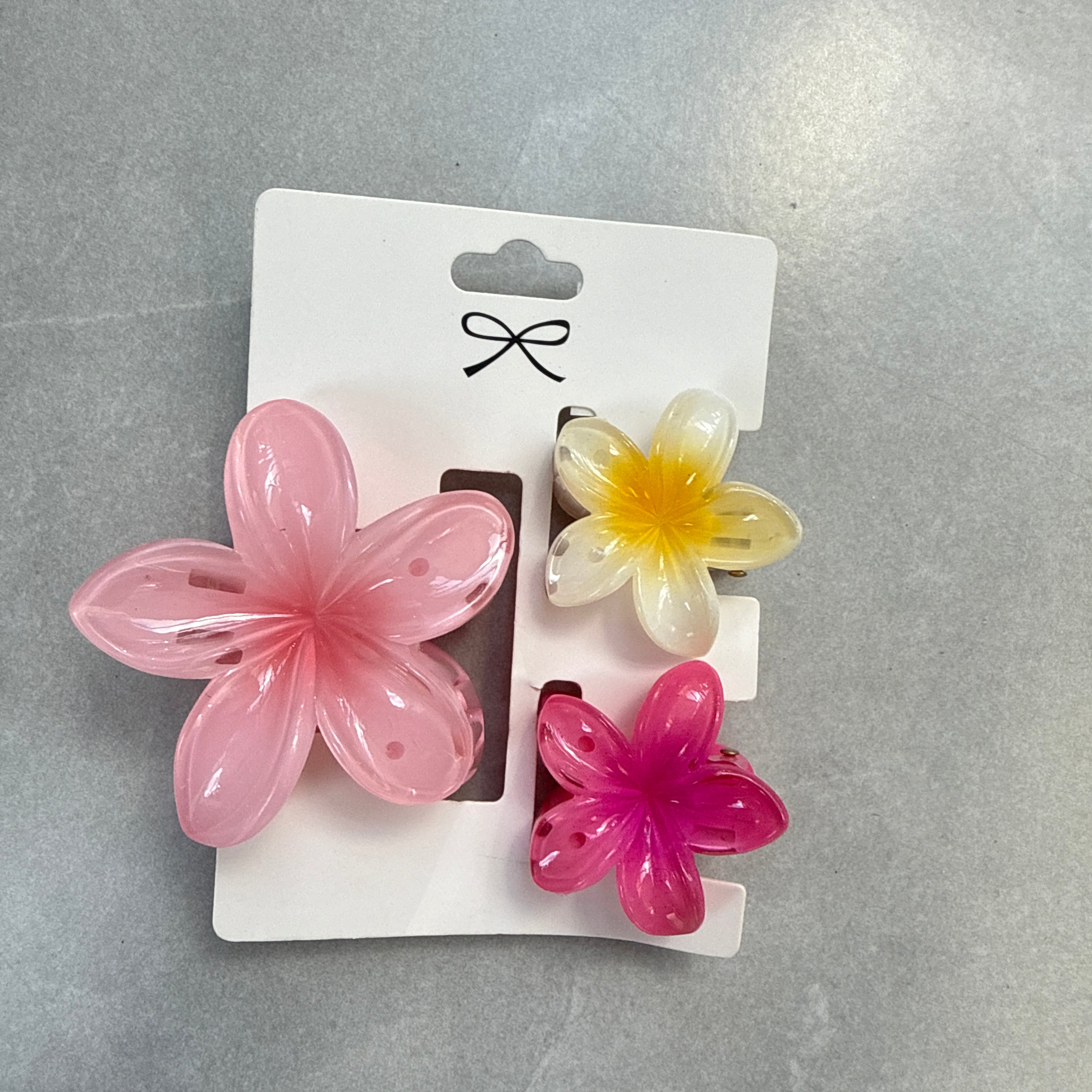 SET HAIR CLIPS