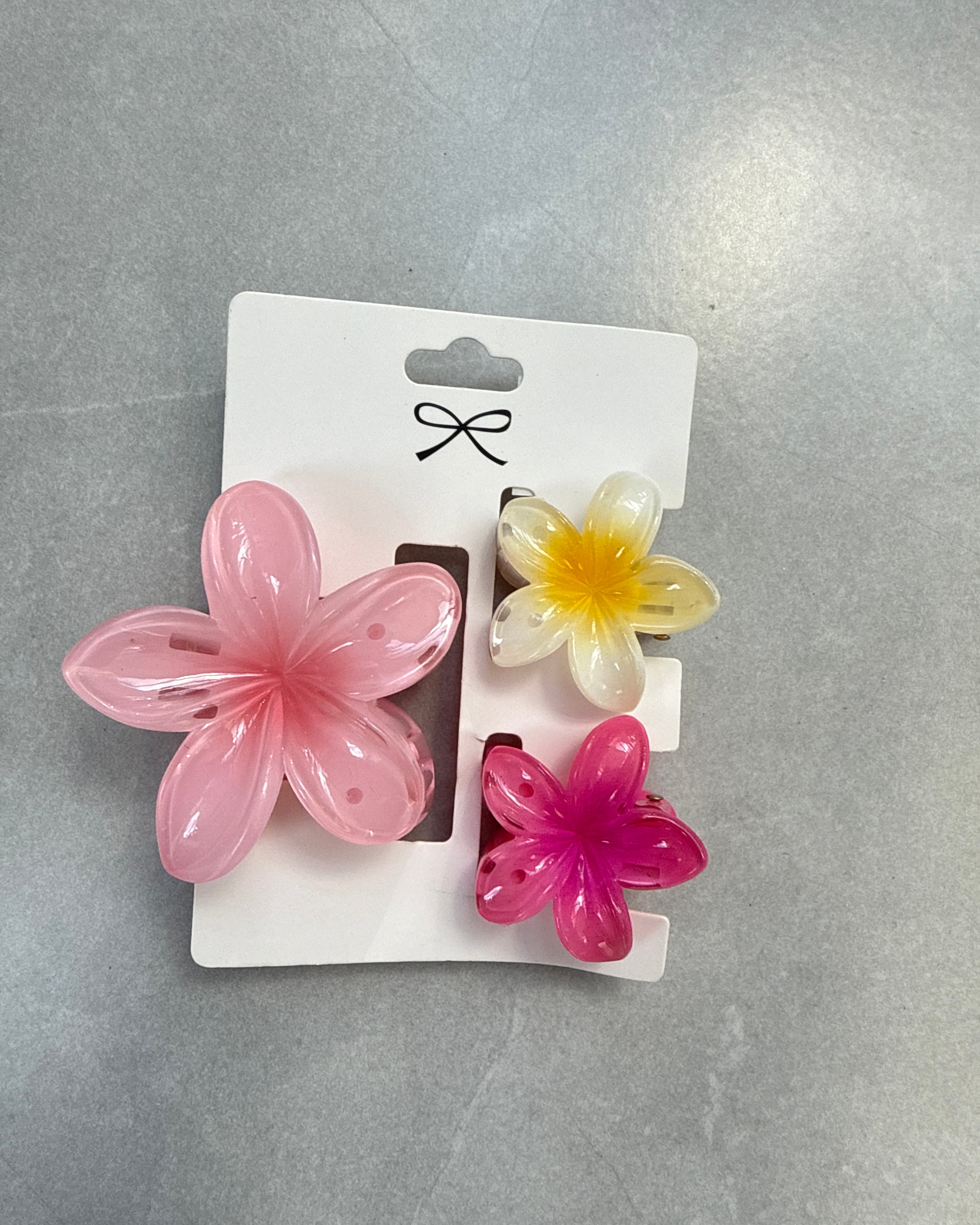 SET HAIR CLIPS