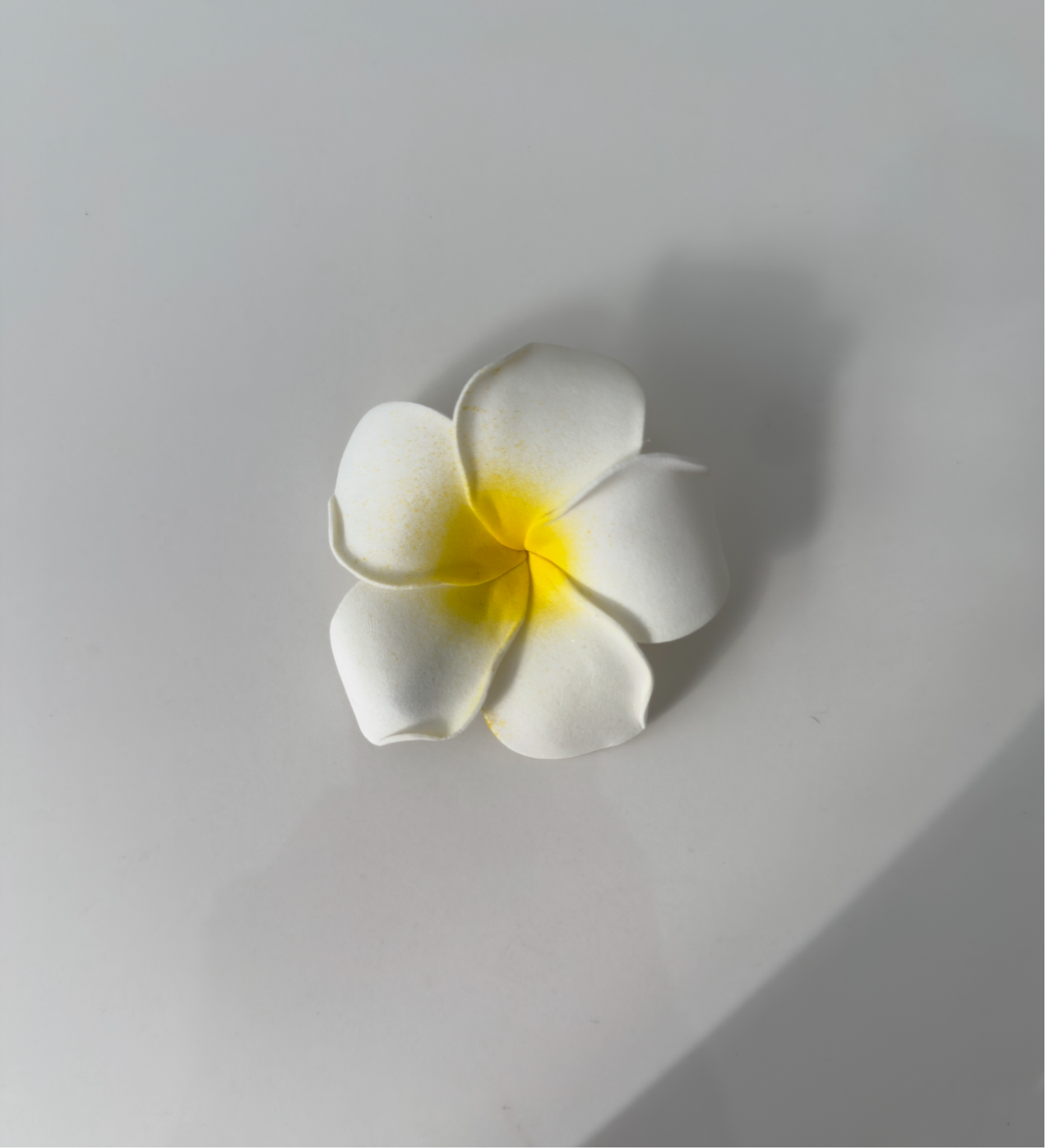 Island girl hair clip