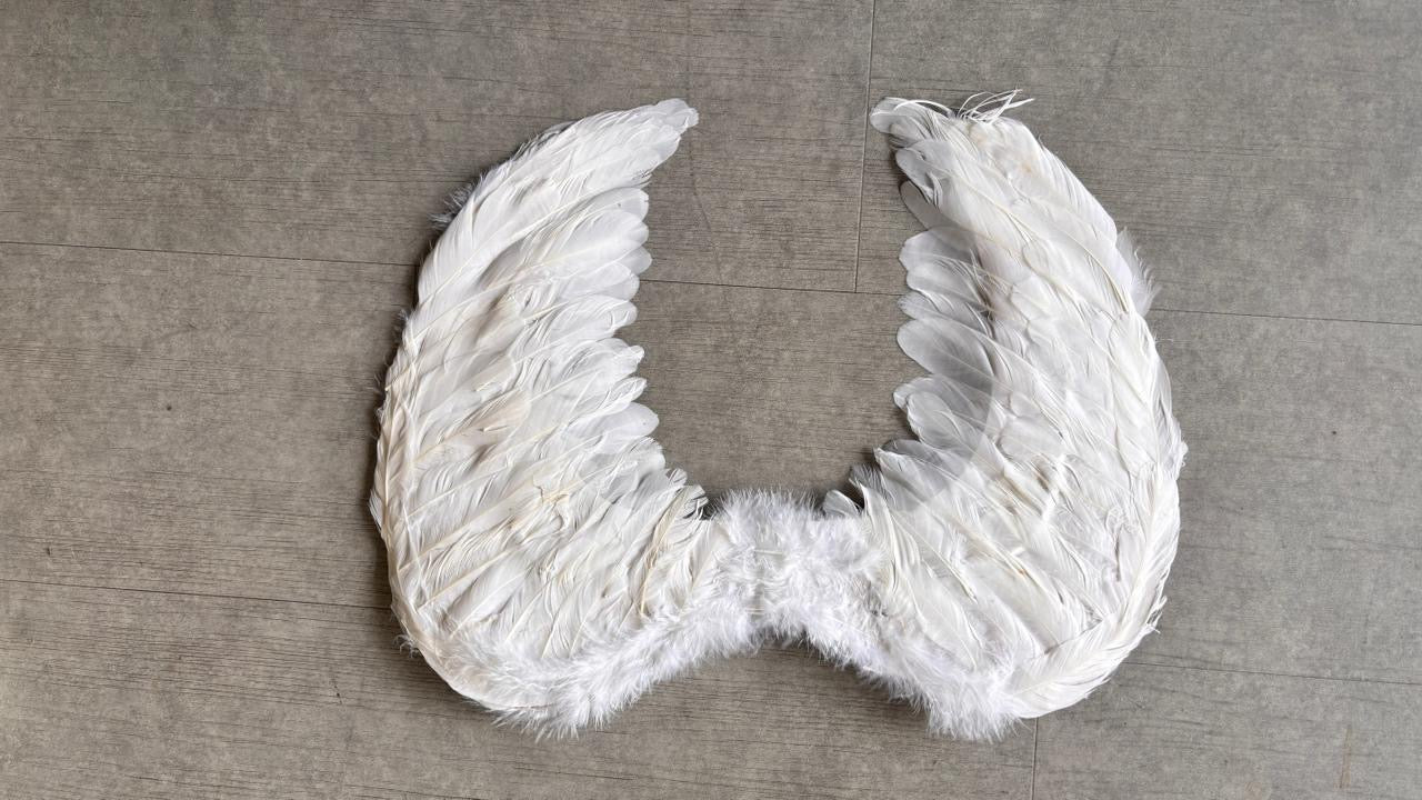 KARY WHITE WINGS