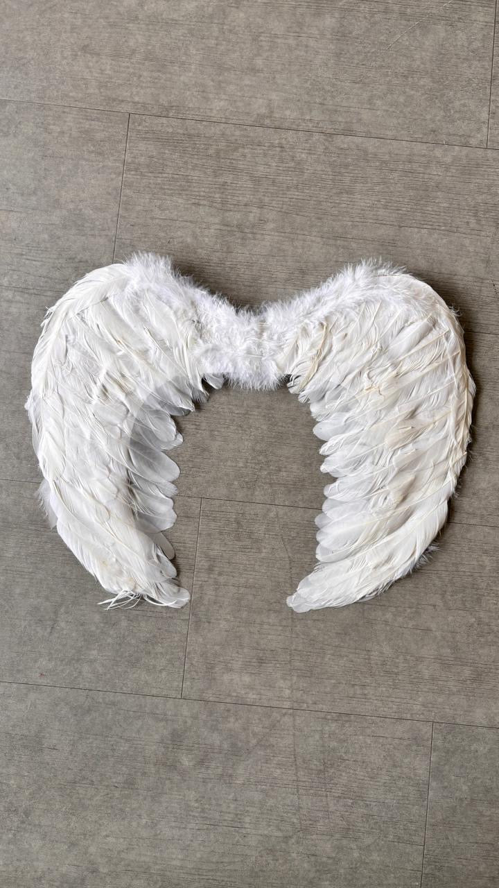 KARY WHITE WINGS