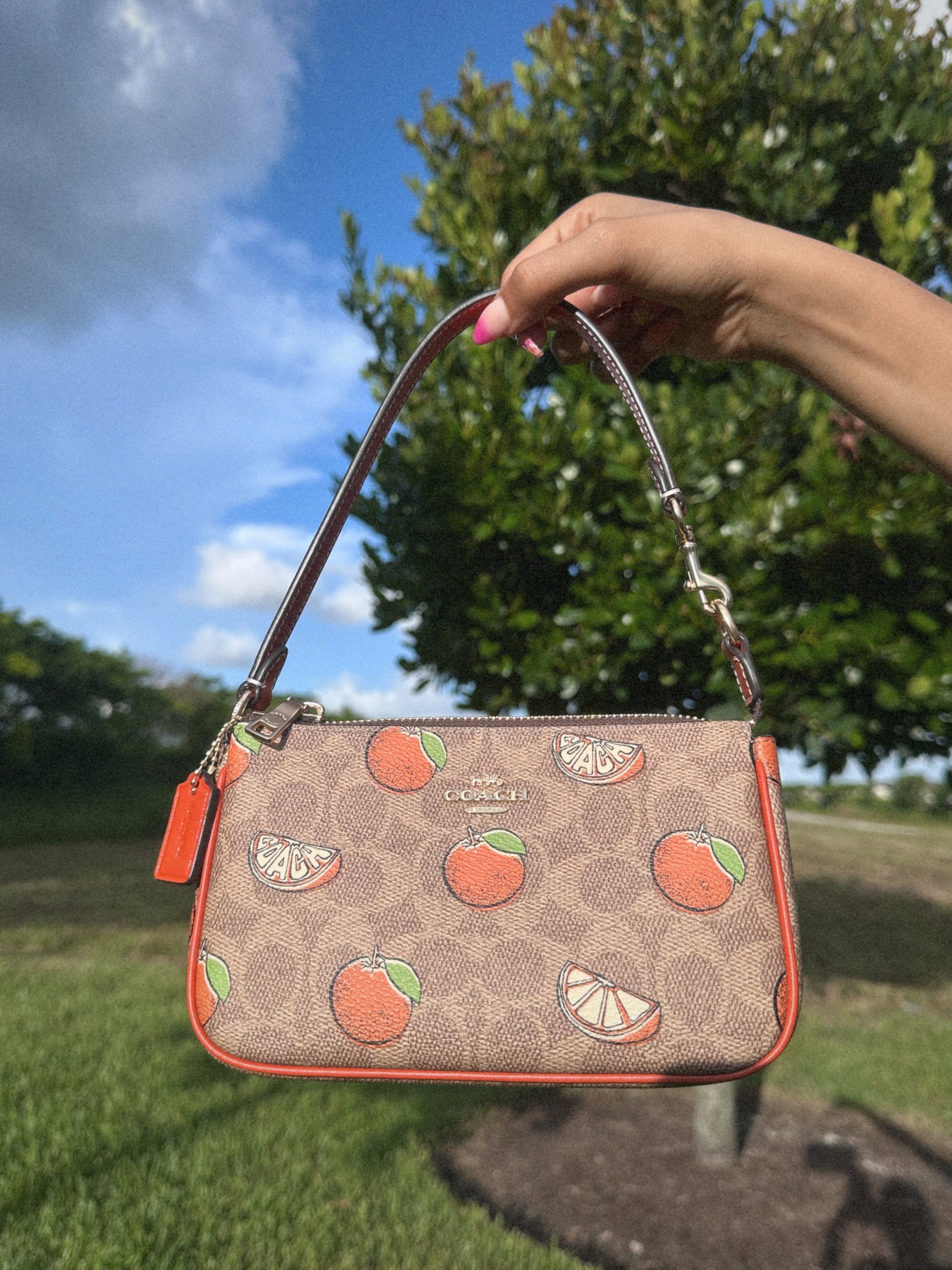 COACH NOLITA 19 ORANGES BAG