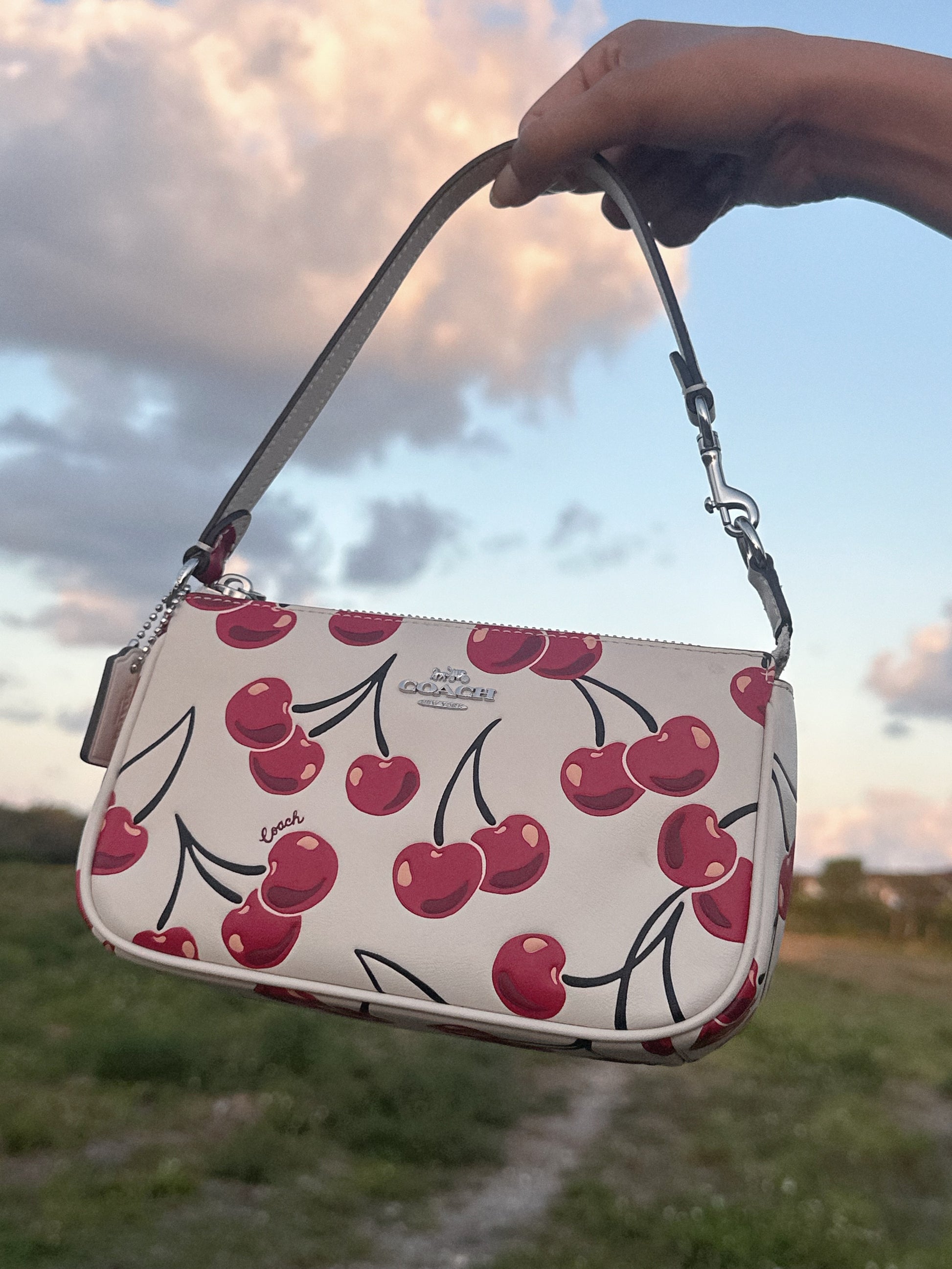COACH NOLITA 19 BAG