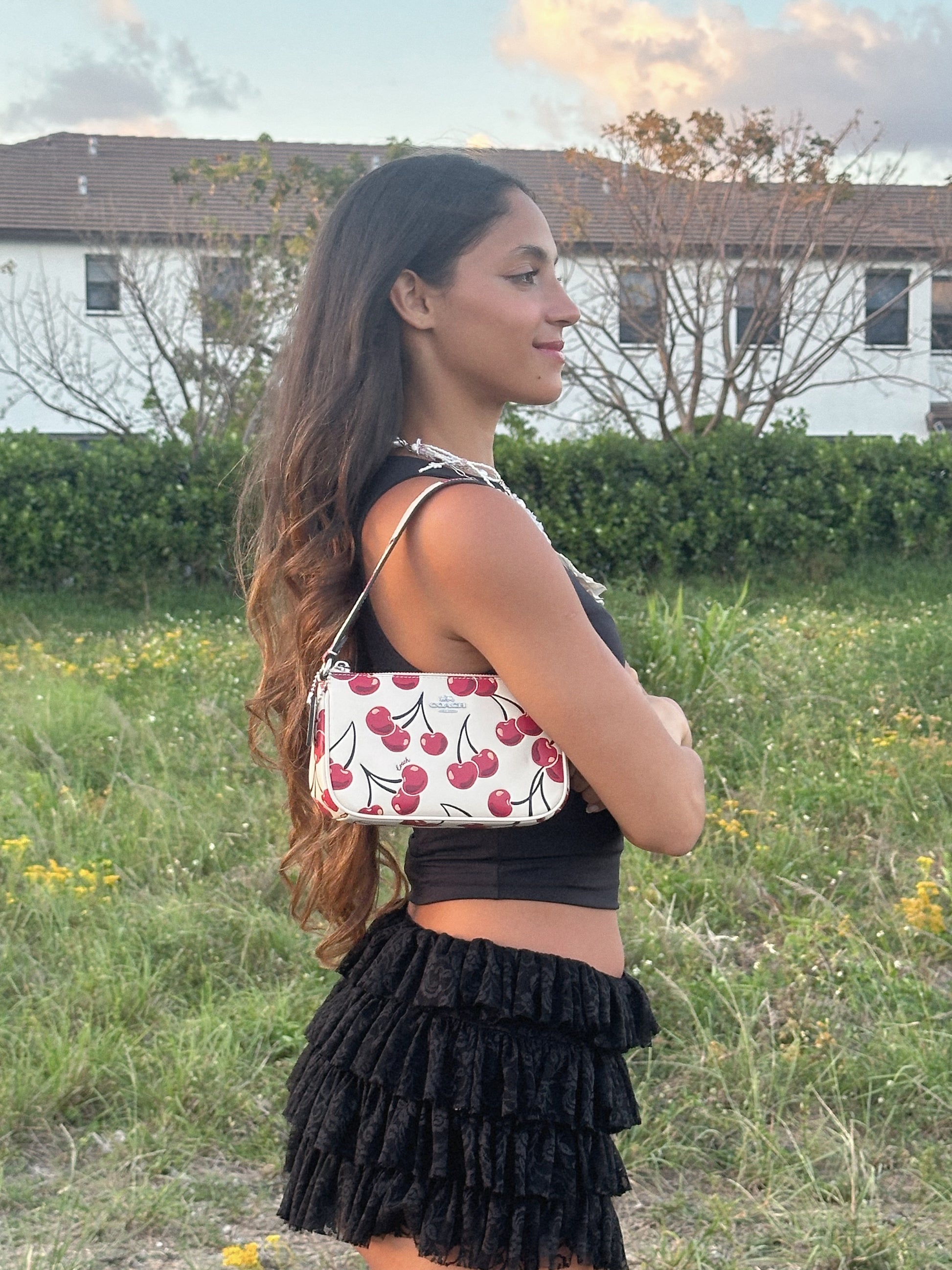 COACH NOLITA 19 BAG